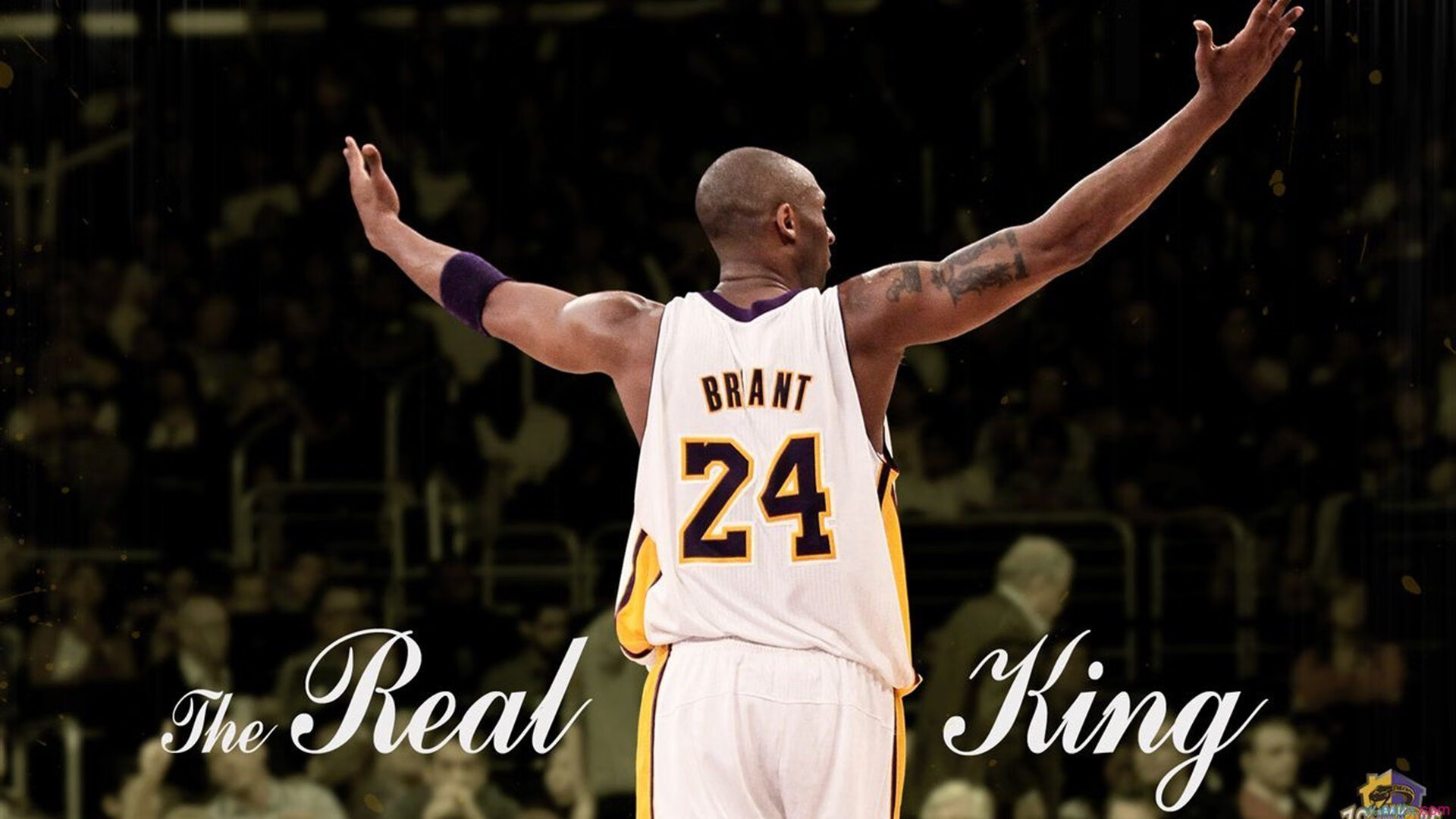 拼搏是中国篮球的底色与信仰,篮球与拼搏作文